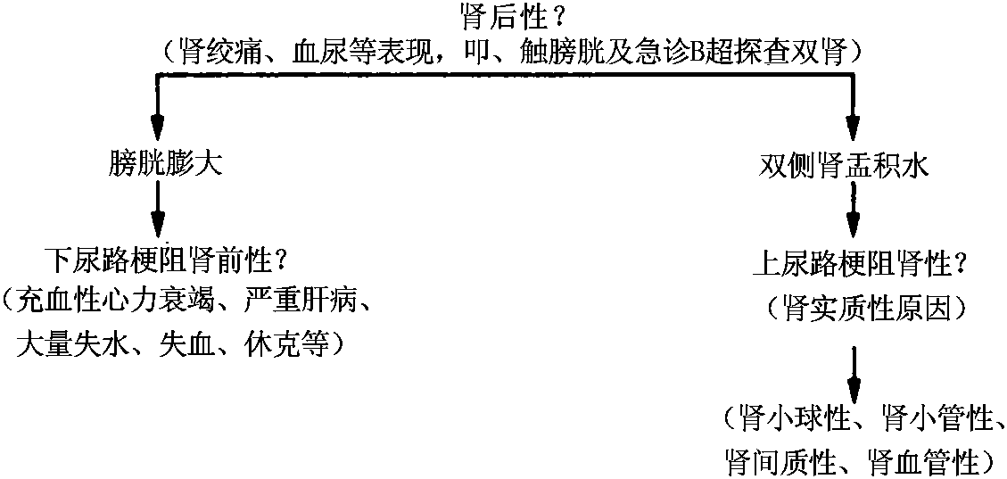 第七節(jié) 少尿和無尿